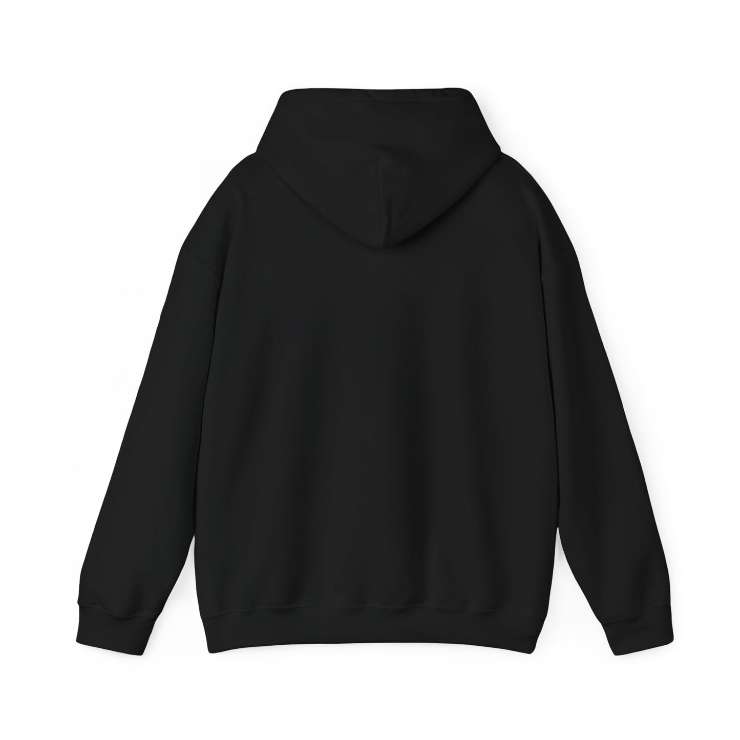 USA Hoodie