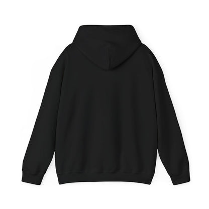 USA Hoodie