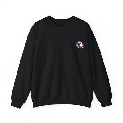 USA Sweatshirt